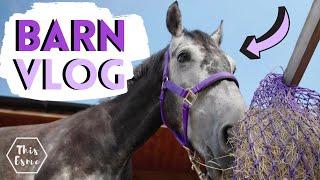 Lesson on New Horse + Jumping Casper  Barn Vlog AD  This Esme