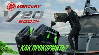 Тест моторов  MERCURY 400 V10  спарка  20 цилиндров и 800 лошадей  Катера и лодки. #тестдрайв