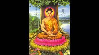 The Buddha-A Primer