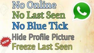 WhatsApp 2022 No Online - No Last Seen - No Blue Tick - Freeze Last Seen - Hide Profile Picture 