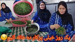 یک روز پرکار ده خانه اتیمسبزی ازسرزمین اوردیم همری خوارجان برای؟#vlog #family#جای تان خالی عزیزایم