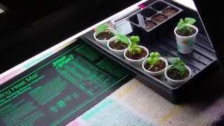 Make A 4-Tube Grow Light How To Assemble Vegetable Garden