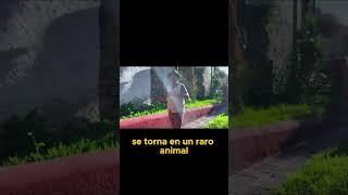 Esta Mujer Que Anda Lamentándose Por El Extermino de su raza la llorona version chichimeca