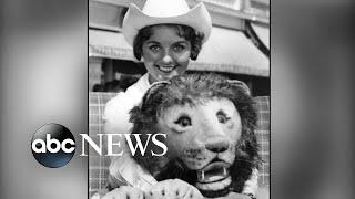 ABC News Live Update Remembering iconic actress Dawn Wells