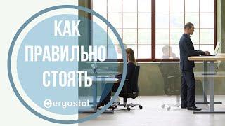 Как правильно работать стоя Урок от компании ergostol.ru