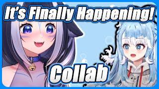 Lily And Kobo Are Going to Collab