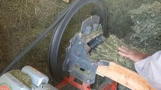 Alfalfa Hay is the Best Feed for Goats  Goats Feed 