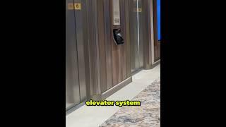 Sun Princess launch a new elevator system. Here is how it works #sunprincess #shorts