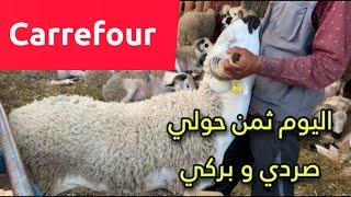 جولة في كارفور carrefour وهذا هو ثمن كبش عيد الأضحى