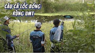 Câu Cá Lóc Bông Rừng U Minh Thượng Kiên Giang mới nhất tháng 72024