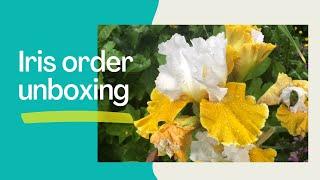 Iris Order Unboxing