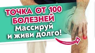 Точка долголетия от ВСЕХ болезней Как найти Цзу-сань-ли? Точка от 100 болезней