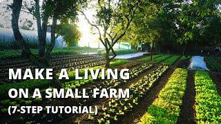 How to Start a Farm From Scratch Beginners Guide to Growing Vegetables for Profit