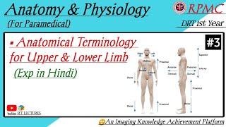 #Anatomical Terminology for Upper Limb & Lower Limb #Language of Anatomy