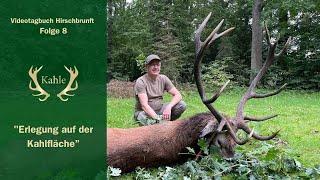 Erlegung auf der Kahlfläche - Reinholds erster Hirsch