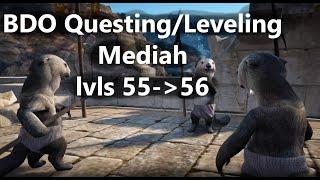 BDO Options to lvl up 55 to 56