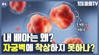 시험관 배아 이식 후 착상이 안되는 이유는?