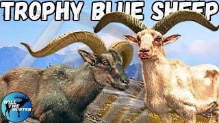 Hunting A Huge Albino Blue Sheep + A Diamond On Sundarpatan TheHunter Call Of The Wild