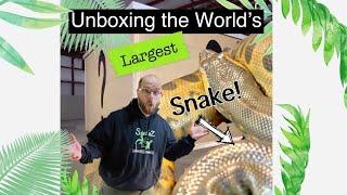 Did I just purchase the worlds LARGEST snake  unboxing and his new cage update