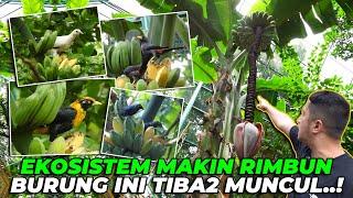 INILAH KEKAYAAN ALAM HUTAN AVIARY.. BURUNG2 INI TIBA2 MUNCUL DIHADAPAN KITA...