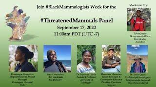 #BlackMammalogistsWeek Threatened Mammals Panel