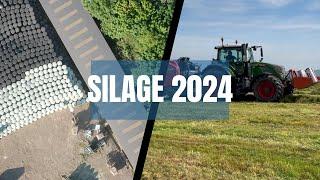 BALES GALORE - ITS SILAGE 24