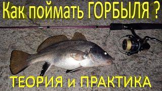  Как поймать ГОРБЫЛЯ на спиннинг часть 1? Теория и практика. Рыбалка на Черном море в Крыму 