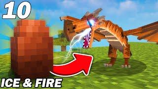 Mon bébé dragon électrique est trop beau  Minecraft Ice & Fire EP10