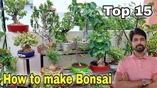 15 Easy plant Bonsai  How to make Bonsai  The One Page