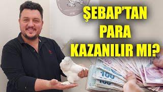 ŞEBAP PARA KAZANDIRIYOR MU?  Kürenk Kulübü