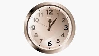 Relaks Timer clock 1 hours