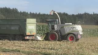 7500 Tonnen Mais müssen von Acker Biogas Anlage in Bad Blumau in der  Oststeiermark mit Claas Jaguar