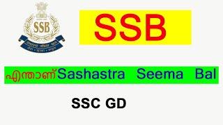 SSB Job Profile  SSC GD SSB Constable