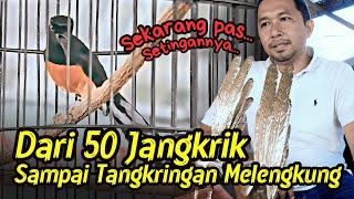 Trotol 15 Juta ‼️ Sekarang Pakai 10 Jangkrik  Juara 1 di SMM - Kopdar SMM