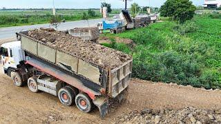 Hard working bulldozer and dump trucks filling up huge land  Machine Cambodia  Shantui Dozer