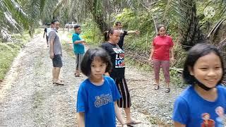 camping di hutan