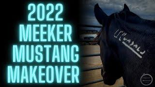 2022 Meeker Mustang Makeover  a weekend of showing my wild horse after only 120 days of training