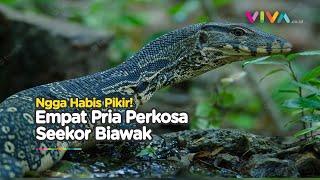 KACAU Empat Pria Nekat Perkosa Biawak di Cagar Alam