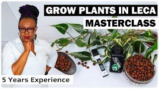 5 Years of Growing Plants in Leca Advice in 1hr 25 mins