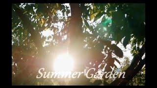  Summer Garden  Cinematic edit 