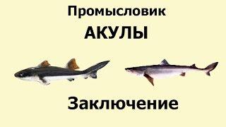 Русская Рыбалка 3.99 Промысловик 9 - Акулы - Заключение