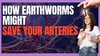 Lumbrokinase From Earthworm to 5 Key Heart Health Benefits