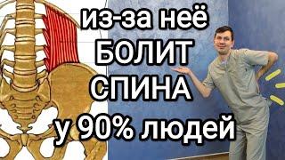 5 минут делай и поясница будет здоровой навсегда  Из-за этой мышцы болит спина у 90 % людей