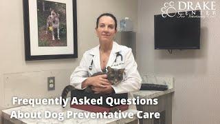 Frequently Asked Questions About Dog Preventative Care