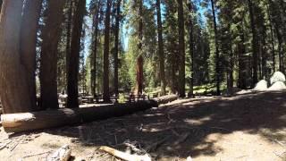 Sequoia National Park