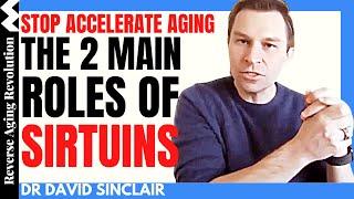 STOP Accelerating Aging – SIRTUINS in Actions The  Movie  Dr David Sinclair Interview Clips