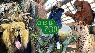 Chester Zoo Vlog  24th February 2024