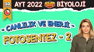 Fotosentez - 2  AYT Biyoloji #Kamp2022