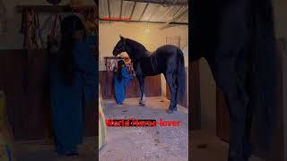 Beautiful Cute girl cleaning horse. Cute girl love horse #horsegirl #ghoda #horse #horses #viral