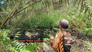 MANCING TOMAN & CASTING MONSTER GABUS